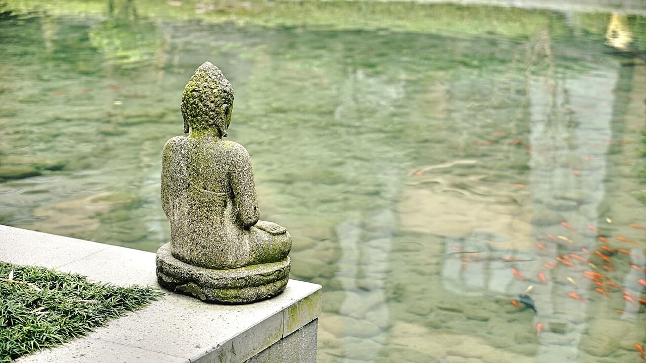 Finding Inner Peace: Incorporating Meditation into Your Daily Routine